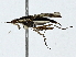  ( - BIOUG91399-D12)  @11 [ ] CreativeCommons - Attribution (2022) CBG Photography Group Centre for Biodiversity Genomics