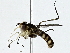  ( - BIOUG91399-E06)  @11 [ ] CreativeCommons - Attribution (2022) CBG Photography Group Centre for Biodiversity Genomics