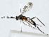  ( - BIOUG91399-F12)  @13 [ ] CreativeCommons - Attribution (2022) CBG Photography Group Centre for Biodiversity Genomics