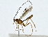  ( - BIOUG91399-G09)  @11 [ ] CreativeCommons - Attribution (2022) CBG Photography Group Centre for Biodiversity Genomics