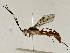  ( - BIOUG91399-H01)  @11 [ ] CreativeCommons - Attribution (2022) CBG Photography Group Centre for Biodiversity Genomics