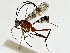  ( - BIOUG91399-H05)  @11 [ ] CreativeCommons - Attribution (2022) CBG Photography Group Centre for Biodiversity Genomics