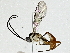  ( - BIOUG91399-H09)  @11 [ ] CreativeCommons - Attribution (2022) CBG Photography Group Centre for Biodiversity Genomics