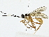  ( - BIOUG91400-A02)  @11 [ ] CreativeCommons - Attribution (2022) CBG Photography Group Centre for Biodiversity Genomics