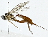  ( - BIOUG91400-A03)  @11 [ ] CreativeCommons - Attribution (2022) CBG Photography Group Centre for Biodiversity Genomics