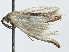  ( - BIOUG91400-A12)  @11 [ ] CreativeCommons - Attribution (2022) CBG Photography Group Centre for Biodiversity Genomics