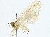  ( - BIOUG91400-C06)  @11 [ ] CreativeCommons - Attribution (2022) CBG Photography Group Centre for Biodiversity Genomics