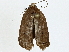  ( - BIOUG91400-D03)  @11 [ ] CreativeCommons - Attribution (2022) CBG Photography Group Centre for Biodiversity Genomics