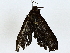  ( - BIOUG91400-E05)  @11 [ ] CreativeCommons - Attribution (2022) CBG Photography Group Centre for Biodiversity Genomics