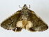  ( - BIOUG91400-E09)  @11 [ ] CreativeCommons - Attribution (2022) CBG Photography Group Centre for Biodiversity Genomics