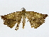  ( - BIOUG91400-F04)  @11 [ ] CreativeCommons - Attribution (2022) CBG Photography Group Centre for Biodiversity Genomics