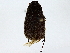  ( - BIOUG91400-F07)  @11 [ ] CreativeCommons - Attribution (2022) CBG Photography Group Centre for Biodiversity Genomics