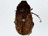  ( - BIOUG91400-F08)  @11 [ ] CreativeCommons - Attribution (2022) CBG Photography Group Centre for Biodiversity Genomics