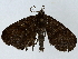  ( - BIOUG91405-B12)  @11 [ ] CreativeCommons - Attribution (2022) CBG Photography Group Centre for Biodiversity Genomics