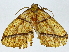  ( - BIOUG91405-F07)  @11 [ ] CreativeCommons - Attribution (2022) CBG Photography Group Centre for Biodiversity Genomics