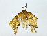  ( - BIOUG91405-F08)  @11 [ ] CreativeCommons - Attribution (2022) CBG Photography Group Centre for Biodiversity Genomics