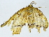  ( - BIOUG91405-F09)  @11 [ ] CreativeCommons - Attribution (2022) CBG Photography Group Centre for Biodiversity Genomics