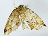  ( - BIOUG91405-F10)  @11 [ ] CreativeCommons - Attribution (2022) CBG Photography Group Centre for Biodiversity Genomics