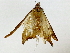  (cramMalaise01 Malaise5872 - BIOUG91405-G01)  @11 [ ] CreativeCommons - Attribution (2022) CBG Photography Group Centre for Biodiversity Genomics