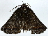  ( - BIOUG91405-G05)  @11 [ ] CreativeCommons - Attribution (2022) CBG Photography Group Centre for Biodiversity Genomics