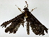  ( - BIOUG91405-H08)  @11 [ ] CreativeCommons - Attribution (2022) CBG Photography Group Centre for Biodiversity Genomics