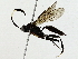  ( - BIOUG91406-C01)  @11 [ ] CreativeCommons - Attribution (2022) CBG Photography Group Centre for Biodiversity Genomics