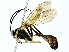  ( - BIOUG91406-D07)  @11 [ ] CreativeCommons - Attribution (2022) CBG Photography Group Centre for Biodiversity Genomics