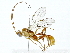  ( - BIOUG91406-F10)  @11 [ ] CreativeCommons - Attribution (2022) CBG Photography Group Centre for Biodiversity Genomics