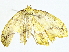  ( - BIOUG91407-A02)  @11 [ ] CreativeCommons - Attribution (2022) CBG Photography Group Centre for Biodiversity Genomics