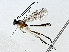  ( - BIOUG91407-D11)  @11 [ ] CreativeCommons - Attribution (2022) CBG Photography Group Centre for Biodiversity Genomics