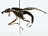  ( - BIOUG91408-A05)  @11 [ ] CreativeCommons - Attribution (2022) CBG Photography Group Centre for Biodiversity Genomics
