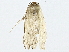  ( - BIOUG91408-F04)  @11 [ ] CreativeCommons - Attribution (2022) CBG Photography Group Centre for Biodiversity Genomics
