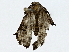  ( - BIOUG91408-F05)  @11 [ ] CreativeCommons - Attribution (2022) CBG Photography Group Centre for Biodiversity Genomics
