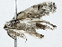  ( - BIOUG91408-F07)  @11 [ ] CreativeCommons - Attribution (2022) CBG Photography Group Centre for Biodiversity Genomics