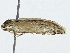  ( - BIOUG91408-G05)  @11 [ ] CreativeCommons - Attribution (2022) CBG Photography Group Centre for Biodiversity Genomics