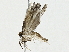  ( - BIOUG91408-H05)  @11 [ ] CreativeCommons - Attribution (2022) CBG Photography Group Centre for Biodiversity Genomics