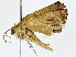  ( - BIOUG91424-C07)  @11 [ ] CreativeCommons - Attribution (2022) CBG Photography Group Centre for Biodiversity Genomics