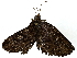  ( - BIOUG91424-C09)  @11 [ ] CreativeCommons - Attribution (2022) CBG Photography Group Centre for Biodiversity Genomics