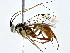  ( - BIOUG91424-D08)  @11 [ ] CreativeCommons - Attribution (2022) CBG Photography Group Centre for Biodiversity Genomics