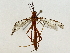  ( - BIOUG91424-E01)  @11 [ ] CreativeCommons - Attribution (2022) CBG Photography Group Centre for Biodiversity Genomics