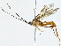  ( - BIOUG91424-E06)  @11 [ ] CreativeCommons - Attribution (2022) CBG Photography Group Centre for Biodiversity Genomics