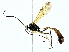  ( - BIOUG95277-B05)  @11 [ ] CreativeCommons - Attribution (2022) CBG Photography Group Centre for Biodiversity Genomics