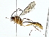  ( - BIOUG95277-C03)  @11 [ ] CreativeCommons - Attribution (2022) CBG Photography Group Centre for Biodiversity Genomics