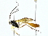  ( - BIOUG95277-C04)  @11 [ ] CreativeCommons - Attribution (2022) CBG Photography Group Centre for Biodiversity Genomics