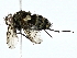  ( - BIOUG95277-F05)  @11 [ ] CreativeCommons - Attribution (2022) CBG Photography Group Centre for Biodiversity Genomics