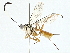  ( - BIOUG95278-E06)  @11 [ ] CreativeCommons - Attribution (2022) CBG Photography Group Centre for Biodiversity Genomics
