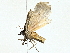 ( - BIOUG95278-H05)  @11 [ ] CreativeCommons - Attribution (2022) CBG Photography Group Centre for Biodiversity Genomics
