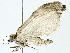  ( - BIOUG95279-B11)  @11 [ ] CreativeCommons - Attribution (2022) CBG Photography Group Centre for Biodiversity Genomics