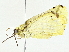  ( - BIOUG95279-C03)  @11 [ ] CreativeCommons - Attribution (2022) CBG Photography Group Centre for Biodiversity Genomics