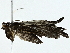  ( - BIOUG95279-G05)  @11 [ ] CreativeCommons - Attribution (2022) CBG Photography Group Centre for Biodiversity Genomics